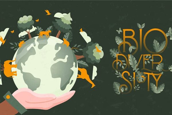 China Showcases Rich Biodiversity for IDB 2024: “Be Part of the Plan” China Showcases Rich Biodiversity for IDB 2024: "Be Part of the Plan" video poster