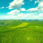 China_Showcases_Saihanba_Green_Miracle_at_UN_Desertification_Conference_in_Riyadh video poster