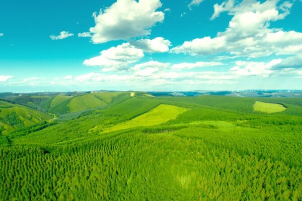 China Showcases Saihanba Green Miracle at UN Desertification Conference in Riyadh China_Showcases_Saihanba_Green_Miracle_at_UN_Desertification_Conference_in_Riyadh video poster