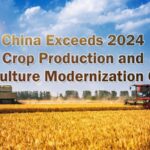 China_Surpasses_2024_Agricultural_Modernization_Goals_Ahead_of_Schedule video poster