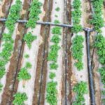 China_Targets_Trillion_Yuan_Water_Conservation_Industry_with_Foreign_Investment_by_2027