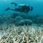 China_Thailand_Joint_Marine_Laboratory_Celebrates_10_Years_of_Cooperation
