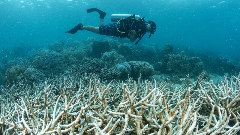 China_Thailand_Joint_Marine_Laboratory_Celebrates_10_Years_of_Cooperation-4 - Khabar Asia China_Thailand_Joint_Marine_Laboratory_Celebrates_10_Years_of_Cooperation