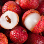 China_Unveils_Catalog_of_105_Tropical_Crop_Germplasm_Banks