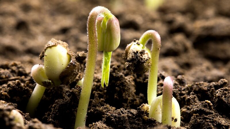 China_Unveils_Comprehensive_Digital_Soil_Database - Khabar Asia China_Unveils_Comprehensive_Digital_Soil_Database