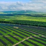 China_Unveils_Guidelines_for_Coordinated_Digital_and_Green_Transformation