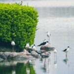 China Unveils Region-Specific Environmental Protection Guidelines