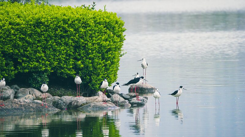 China_Unveils_Region-Specific_Environmental_Protection_Guidelines - Khabar Asia China Unveils Region-Specific Environmental Protection Guidelines