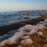 China_Uzbekistan_Joint_Expedition_Begins_to_Address_Aral_Sea_Ecological_Crisis