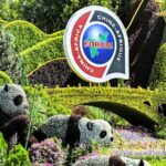 China_and_Africa_Strengthen_Economic_and_Trade_Ties_Ahead_of_FOCAC