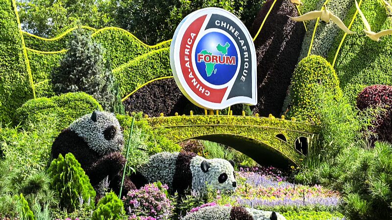 China_and_Africa_Strengthen_Economic_and_Trade_Ties_Ahead_of_FOCAC - Khabar Asia China_and_Africa_Strengthen_Economic_and_Trade_Ties_Ahead_of_FOCAC