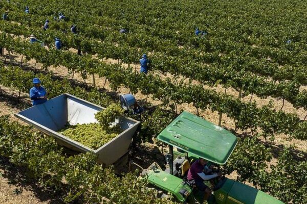 China_and_African_Nations_Collaborate_to_Advance_Modernization