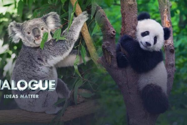 China and Australia Resume High-Level Dialogue to Mend Ties China and Australia Resume High-Level Dialogue to Mend Ties video poster