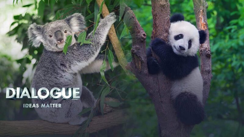 China_and_Australia_Resume_High-Level_Dialogue_to_Mend_Ties_poster - Khabar Asia China and Australia Resume High-Level Dialogue to Mend Ties video poster