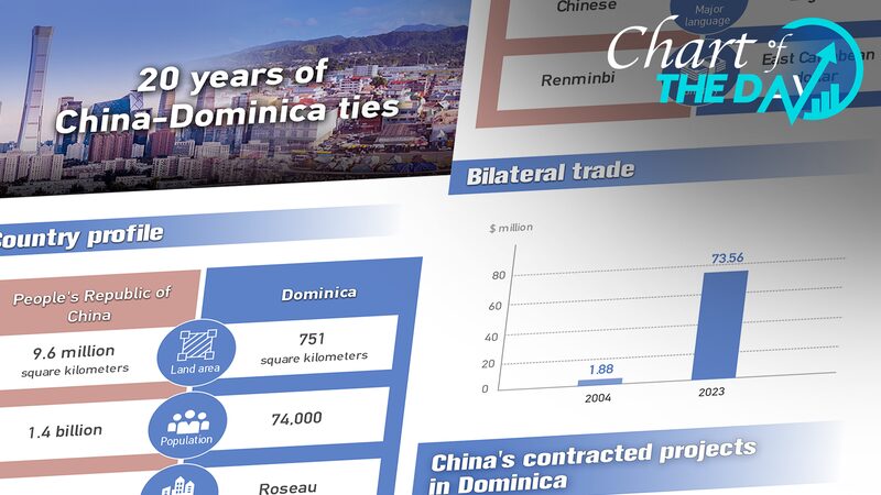 China and Dominica Celebrate 20 Years of Diplomatic Ties