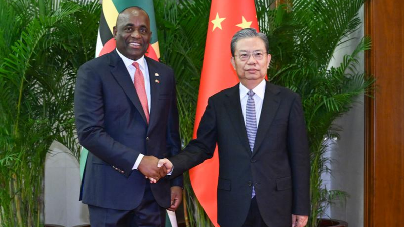 China and Dominica Enhance Cooperation Through Global Development Initiative