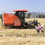 China and Germany Enhance Barley Research Collaboration at Beijing Symposium