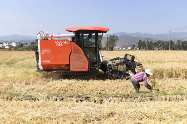 China and Germany Enhance Barley Research Collaboration at Beijing Symposium China and Germany Enhance Barley Research Collaboration at Beijing Symposium