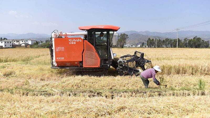 China and Germany Enhance Barley Research Collaboration at Beijing Symposium