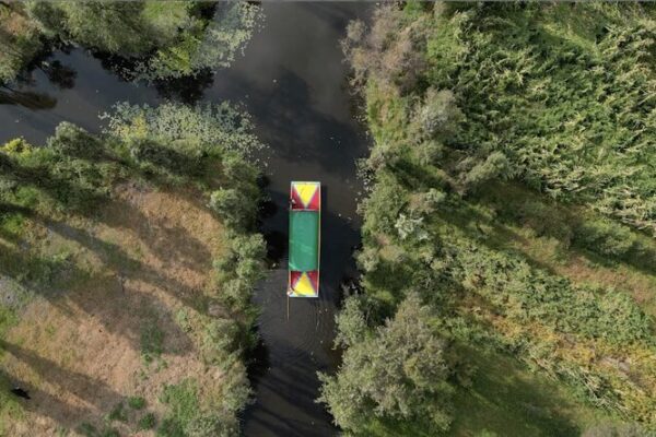 China and Latin America Celebrate Decade of Green Collaboration Under Belt and Road Initiative video poster