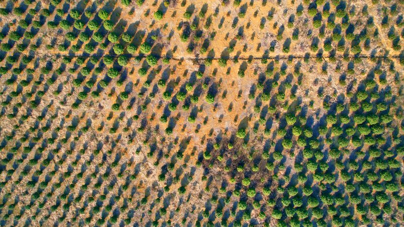 China_and_Mongolia_Unite_to_Combat_Desertification_on_World_Day