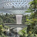 China and Singapore Launch Visa-Free Travel, Boosting Tourism and Cultural Exchange