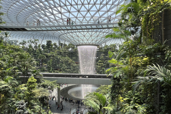 China and Singapore Launch Visa-Free Travel, Boosting Tourism and Cultural Exchange