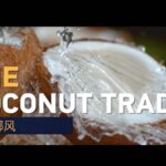 China_and_Vietnam_s_Flourishing_Coconut_Trade_Boosts_Blue_Economy_poster - Khabar Asia China_and_Vietnam_s_Flourishing_Coconut_Trade_Boosts_Blue_Economy video poster