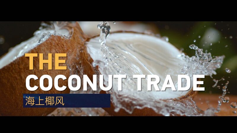 China_and_Vietnam_s_Flourishing_Coconut_Trade_Boosts_Blue_Economy_poster - Khabar Asia China_and_Vietnam_s_Flourishing_Coconut_Trade_Boosts_Blue_Economy video poster