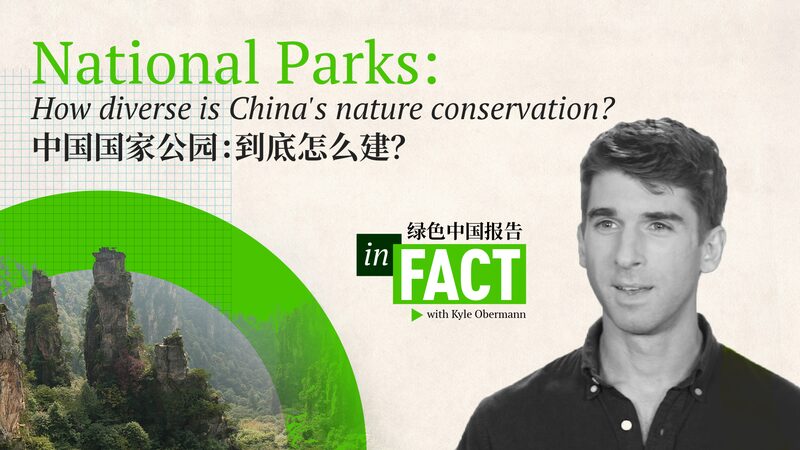 China_s_Ambitious_National_Parks__Unveiling_the_Wild_42_ video poster