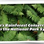 China_s_Ambitious_Plan_for_Earth_s_Largest_National_Park_System_by_2035 video poster