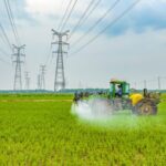 China_s_Autumn_Grain_Production_Shows_Steady_Growth_Despite_Weather_Challenges