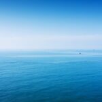 China_s_Decade_of_Marine_Protection__Key_Highlights_from_the_New_White_Paper