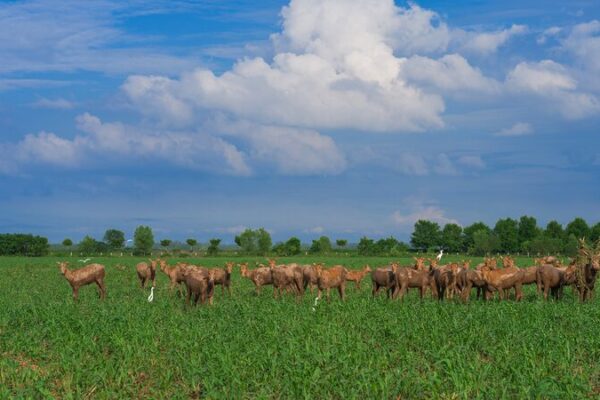 China_s_Draft_National_Park_Law_Under_First_Reading_at_Top_Legislature