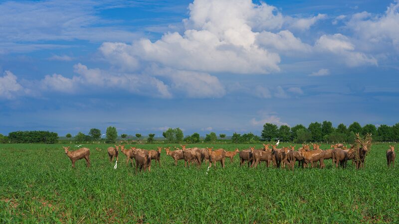 China_s_Draft_National_Park_Law_Under_First_Reading_at_Top_Legislature