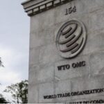 China_s_Economic_Rise__Independent_Achievement_or_Western_Assistance_