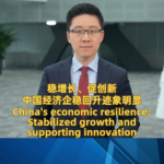 China_s_Economy_Remains_Resilient_Amid_Global_Challenges video poster