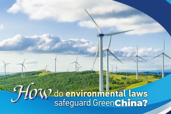 China_s_Environmental_Laws_in_Action__Safeguarding_a_Greener_Future