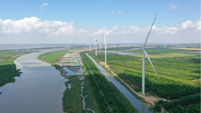 China_s_First_Energy_Law_Paves_Way_for_Green_Transition_and_Economic_Growth