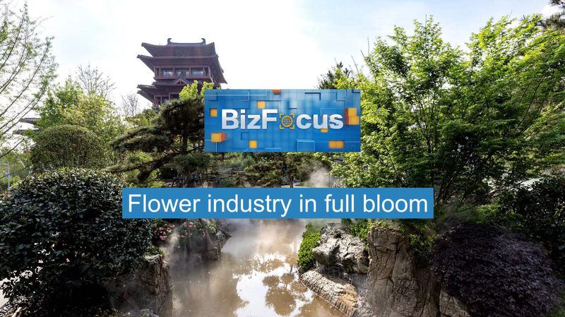 China_s_Flower_Industry_Blossoms_Amid_Green_Economy_Growth_poster - Khabar Asia China_s_Flower_Industry_Blossoms_Amid_Green_Economy_Growth video poster