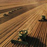 China_s_Grain_Output_to_Exceed_700_Million_Tonnes_in_2024_for_the_First_Time