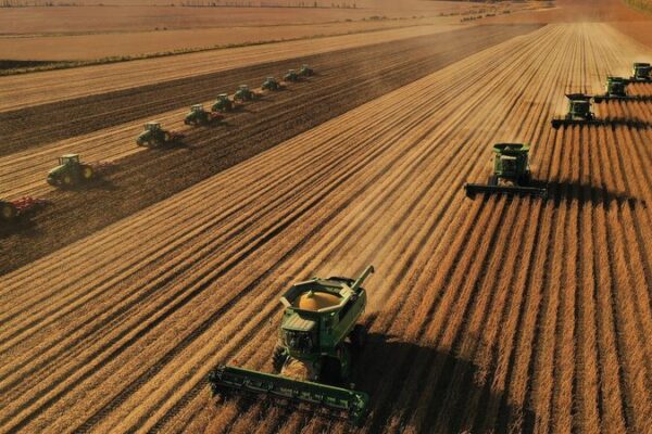 China’s Grain Output to Exceed 700 Million Tonnes in 2024 for the First Time China_s_Grain_Output_to_Exceed_700_Million_Tonnes_in_2024_for_the_First_Time