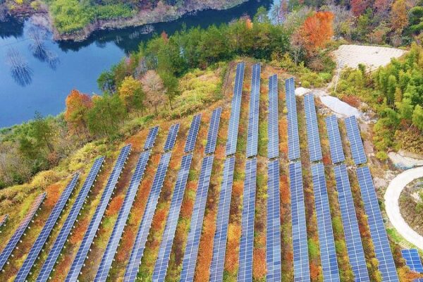 China_s_Green_Finance_Sets_Global_Example_for_APEC_s_Sustainable_Future