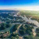 China_s_Green_Growth__New_Energy_Vehicles_Lead_Sustainable_Revolution