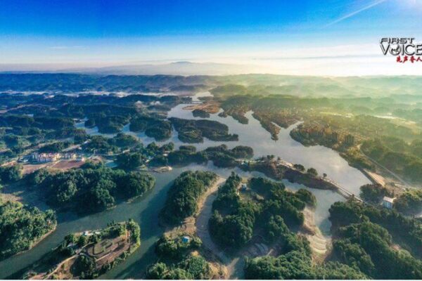 China_s_Green_Growth__New_Energy_Vehicles_Lead_Sustainable_Revolution