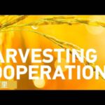 China_s_Hybrid_Rice_Technology_Strengthens_Ties_with_ASEAN_Countries_poster - Khabar Asia China_s_Hybrid_Rice_Technology_Strengthens_Ties_with_ASEAN_Countries video poster