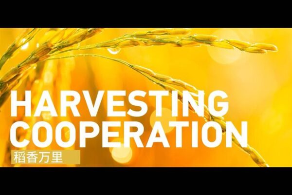 China’s Hybrid Rice Technology Strengthens Ties with ASEAN Countries China_s_Hybrid_Rice_Technology_Strengthens_Ties_with_ASEAN_Countries video poster