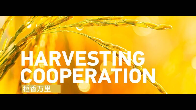 China_s_Hybrid_Rice_Technology_Strengthens_Ties_with_ASEAN_Countries_poster - Khabar Asia China_s_Hybrid_Rice_Technology_Strengthens_Ties_with_ASEAN_Countries video poster