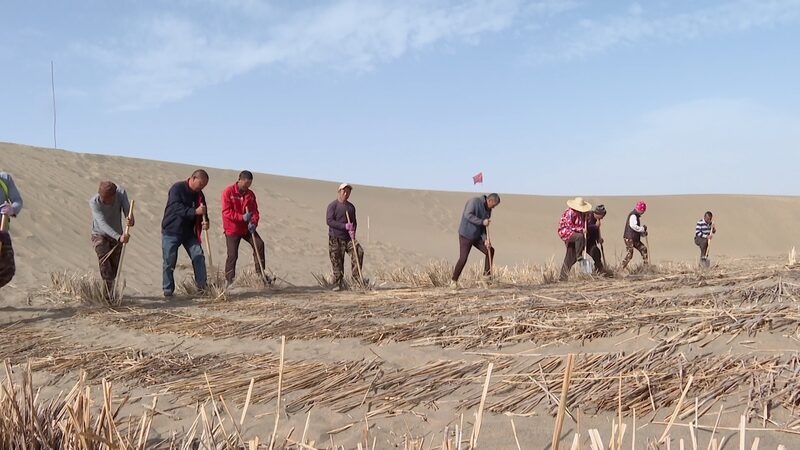 China_s_Innovative_Approach_to_Tackling_Desertification_in_the_Taklimakan_Desert_poster - Khabar Asia China_s_Innovative_Approach_to_Tackling_Desertification_in_the_Taklimakan_Desert video poster