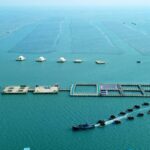 China_s_Marine_Economy_Grows_5_6__in_H1__Surpassing_Overall_Growth